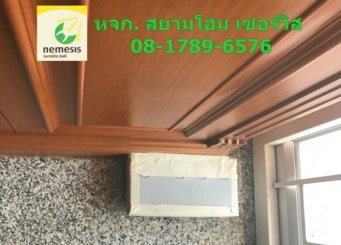 รับกำจัดปลวก ปากช่อง